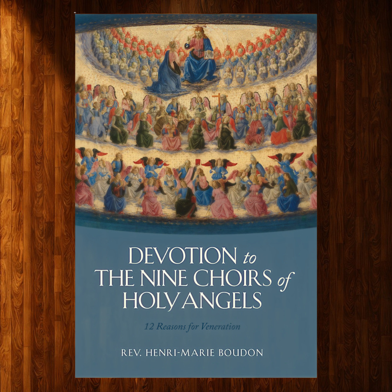 Devotion to the Nine Choirs of Holy Angels: 12 Reasons for Veneration | TAN Books