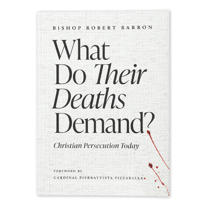 What Do Their Deaths Demand? – Christian Persecution | Bishop Barron