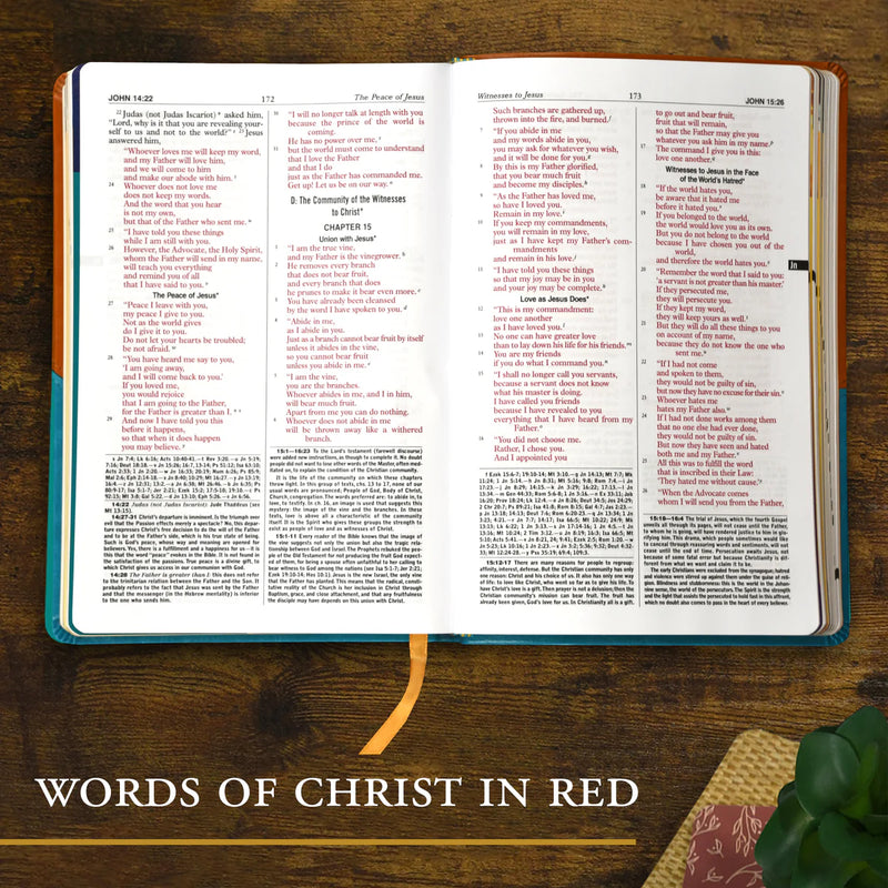 St. Joseph New Catholic Bible for Youth | New Catholic Bible Translation