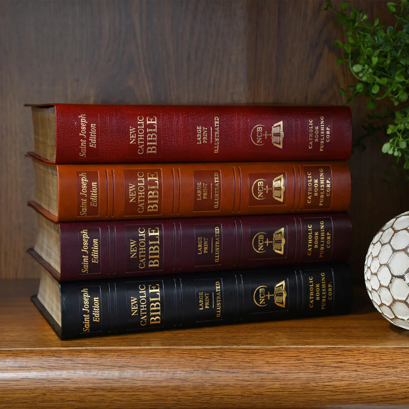 Large Print Catholic Bible - St. Joseph NCB Gift Edition