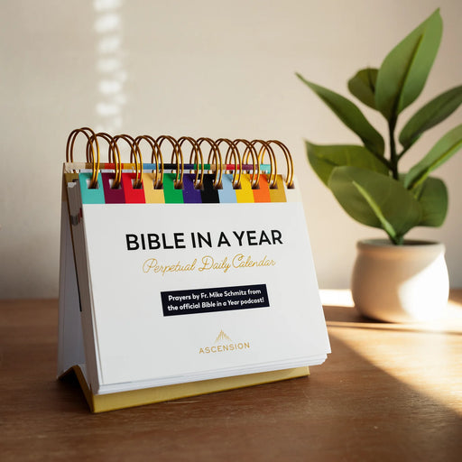 A colorful desk calendar with the text 'Bible in a Year Perpetual Daily Calendar' rests on a sunlit table with a potted plant in the background.