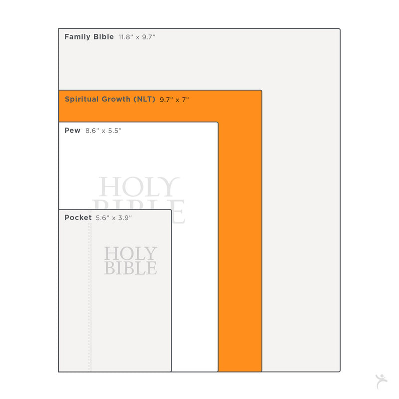 Bible size chart