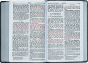 Open Bible showing the book of Mark with a focus on the text.