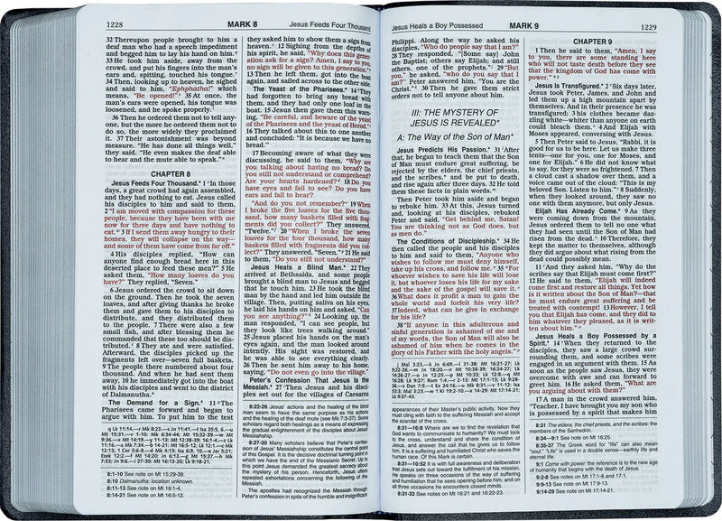 Open Bible showing the book of Mark with a focus on the text.