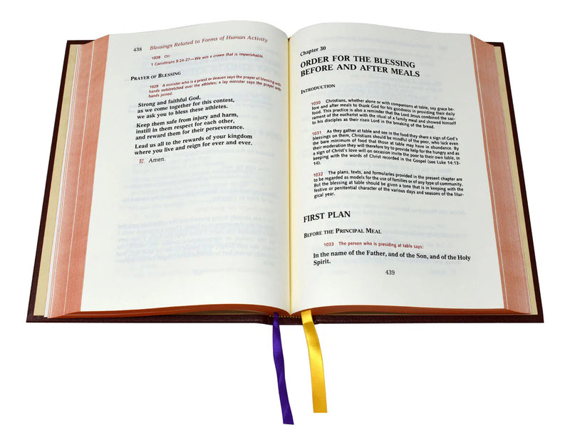Open book with text and a bookmark on a white background