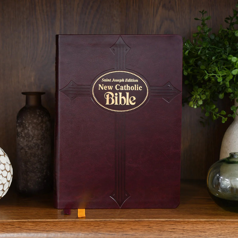 Large burgundy softcover Bible with gold letters on a wood shelf