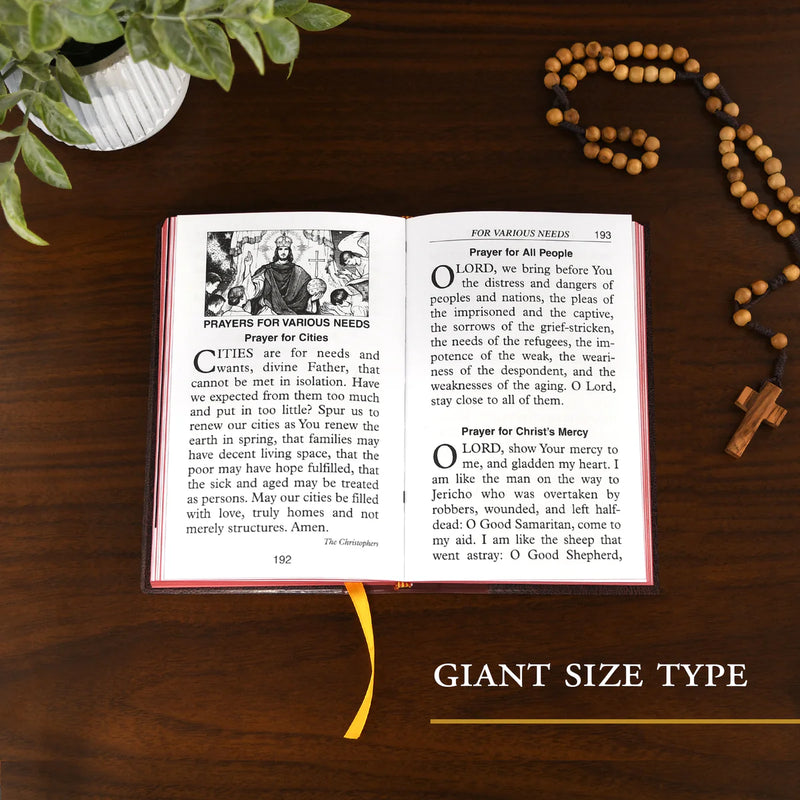 Open book on a wooden surface with prayer text, surrounded by a plant and rosary.