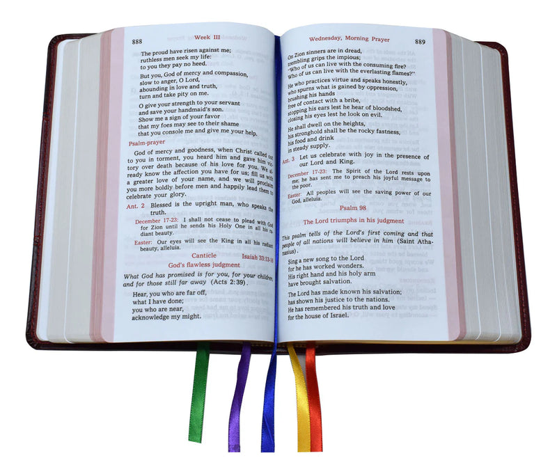 Open book with rainbow bookmarks on a white background