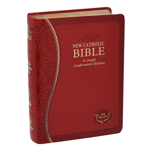 Red Bible with gold lettering on a white background