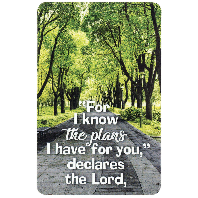 For I Know the Plans Jeremiah 29:11 Pocket Card