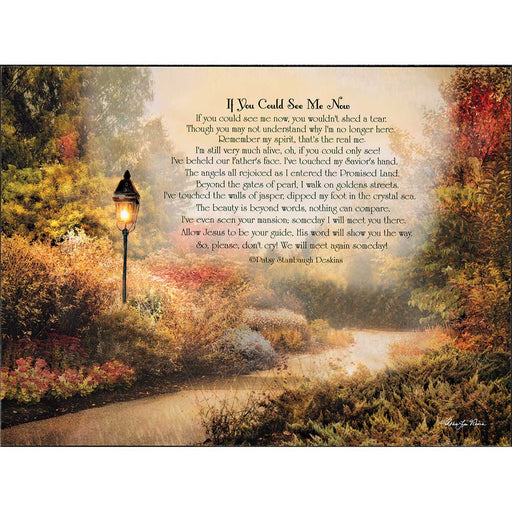 If You Could See Me Now Memorial Wall Plaque
