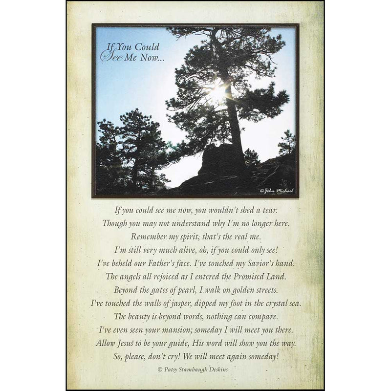 If You Could See Me Now Layered Memorial Wall Plaque