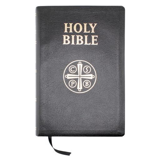 A leather-bound Douay-Rheims Bible with gold foiling on the cover and the word 'Holy Bible' printed in gold letters. It features a dark brown cover with a cross symbol in gold.