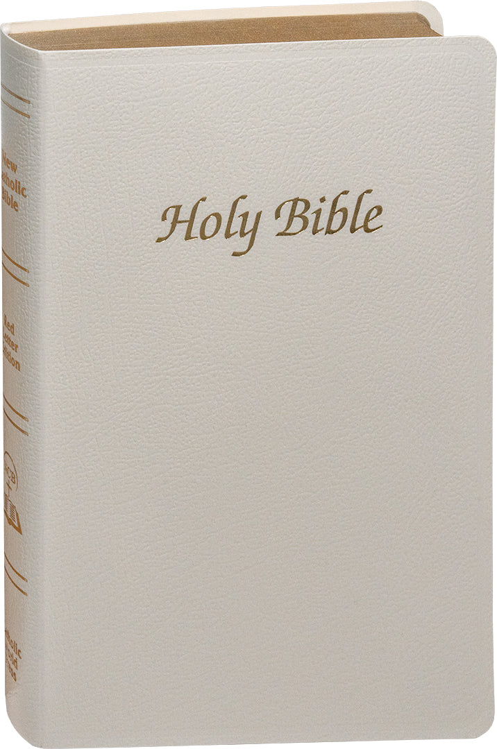 White Bible with 'Holy Bible' embossed on the cover