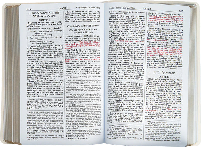 Open book with text on a white background