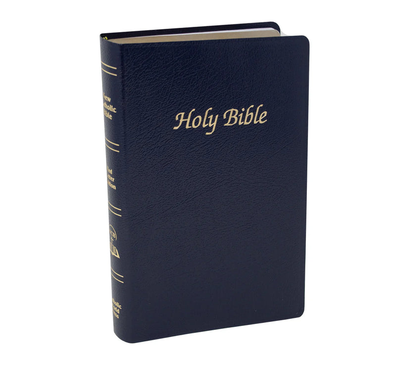 Navy blue Bible with 'Holy Bible' in gold on a white background
