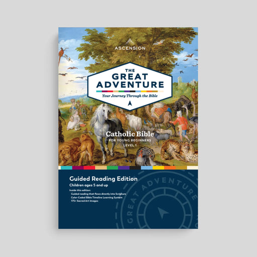 Catholic Bible for young beginners on a gray background