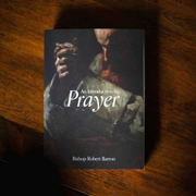 Book titled 'An Introduction to Prayer' by Bishop Robert Barron on a wooden surface