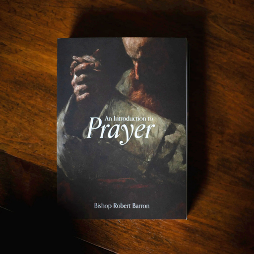 Book titled 'An Introduction to Prayer' by Bishop Robert Barron on a wooden surface