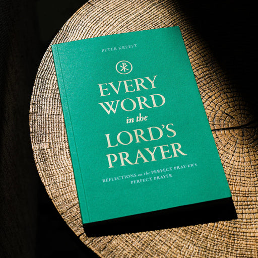Shot of a vibrant green book with gold text 'Every Word in the Lord's Prayer: Reflections on the Perfect Pray-er's Perfect Prayer' in a ray of afternoon light on a log surface.