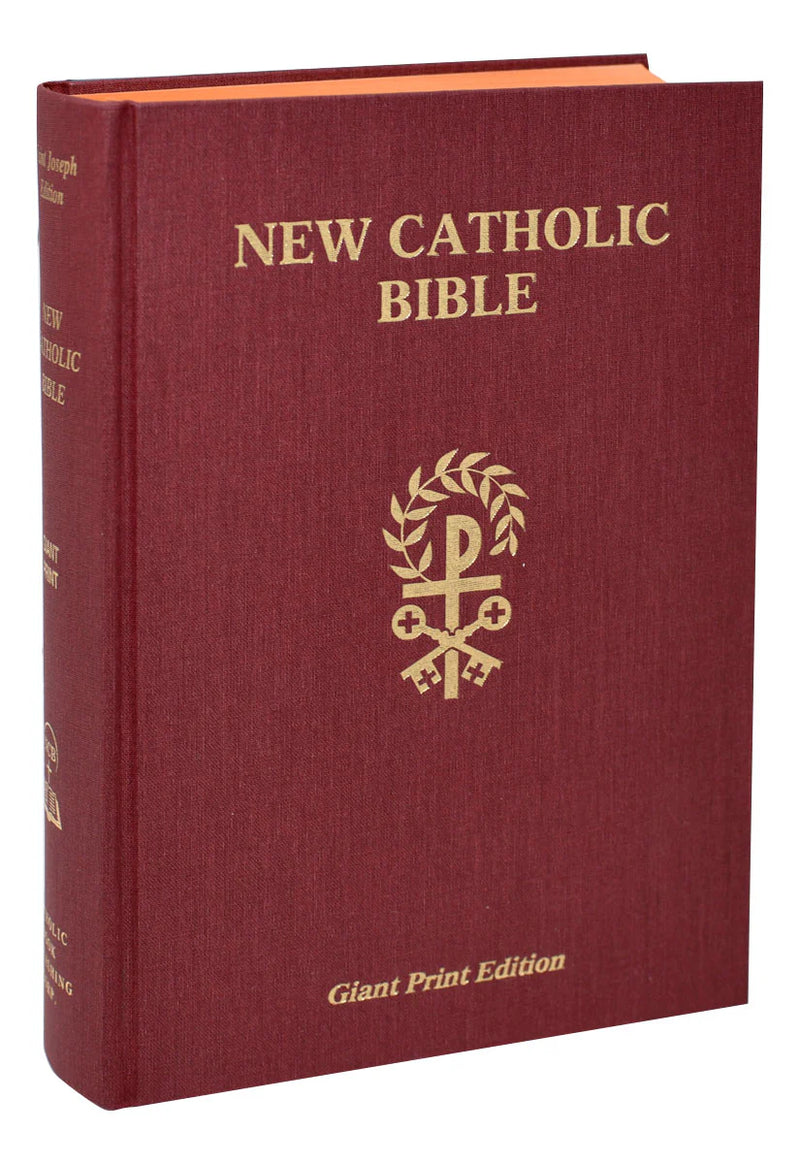 Maroon Bible with gold text and emblem on a white background