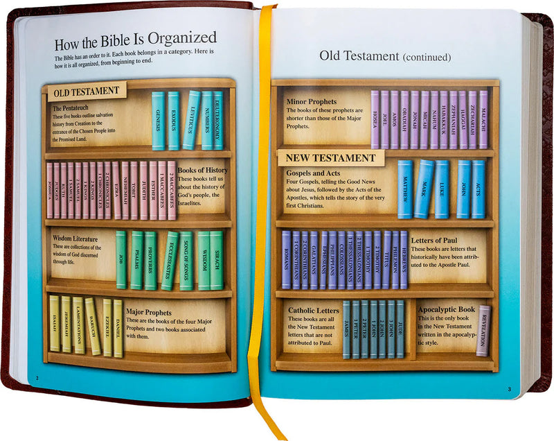 Open book showing a diagram of the Bible's organization with colored sections.