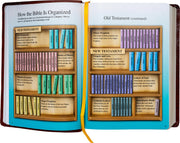 Open book showing a diagram of the Bible's organization with colored sections.