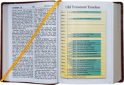 Open book with Old Testament Timeline on a white background