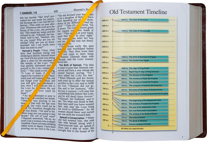 Open book with Old Testament Timeline on a white background