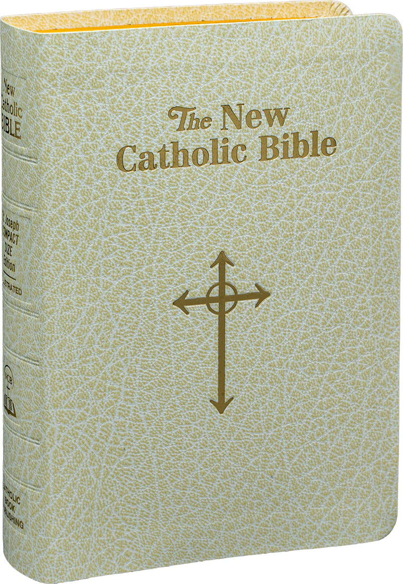 Beige leather-bound Bible with gold cross and text on a white background