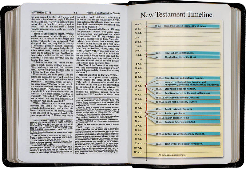 Open Bible with New Testament Timeline on a white background