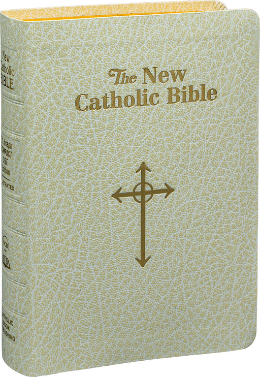 Beige leather-bound Bible with gold cross and text on a white background