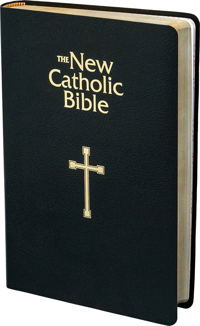 Black Bible with gold text and cross on a white background