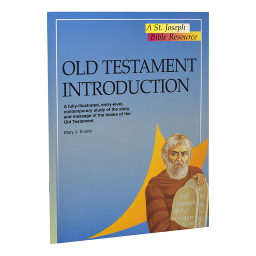 Book titled 'Old Testament Introduction' by Mary J. Evans on a white background