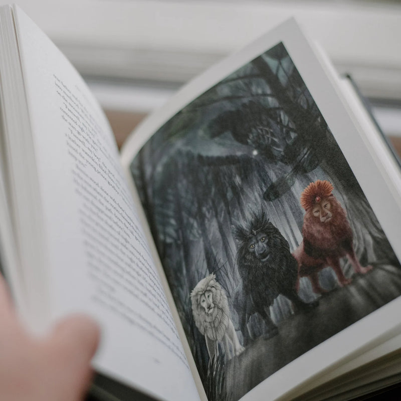 Open book with illustrations of three lions in a dark, stormy setting.