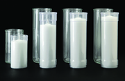 Cathedral 3-Day Inserta-Lite Clear Globe