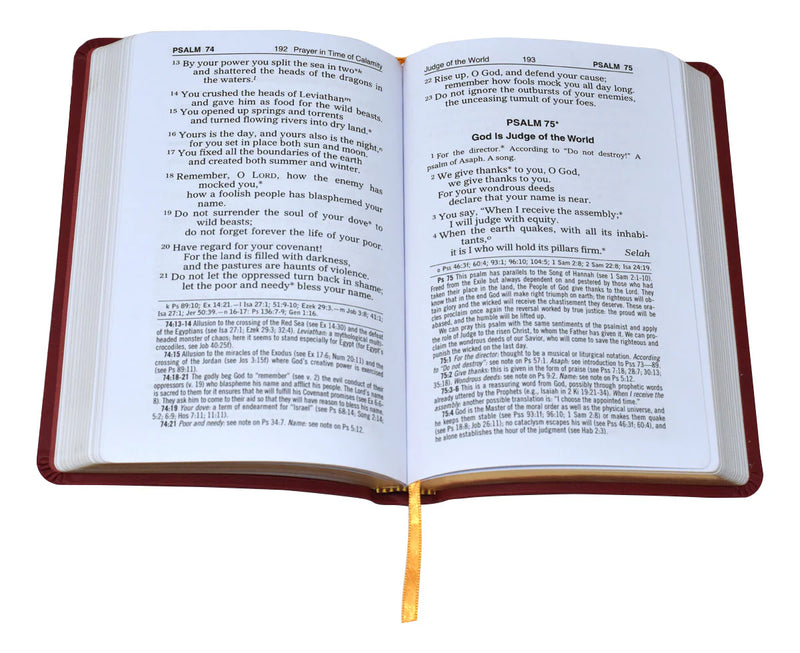 Open book with red binding on a white background