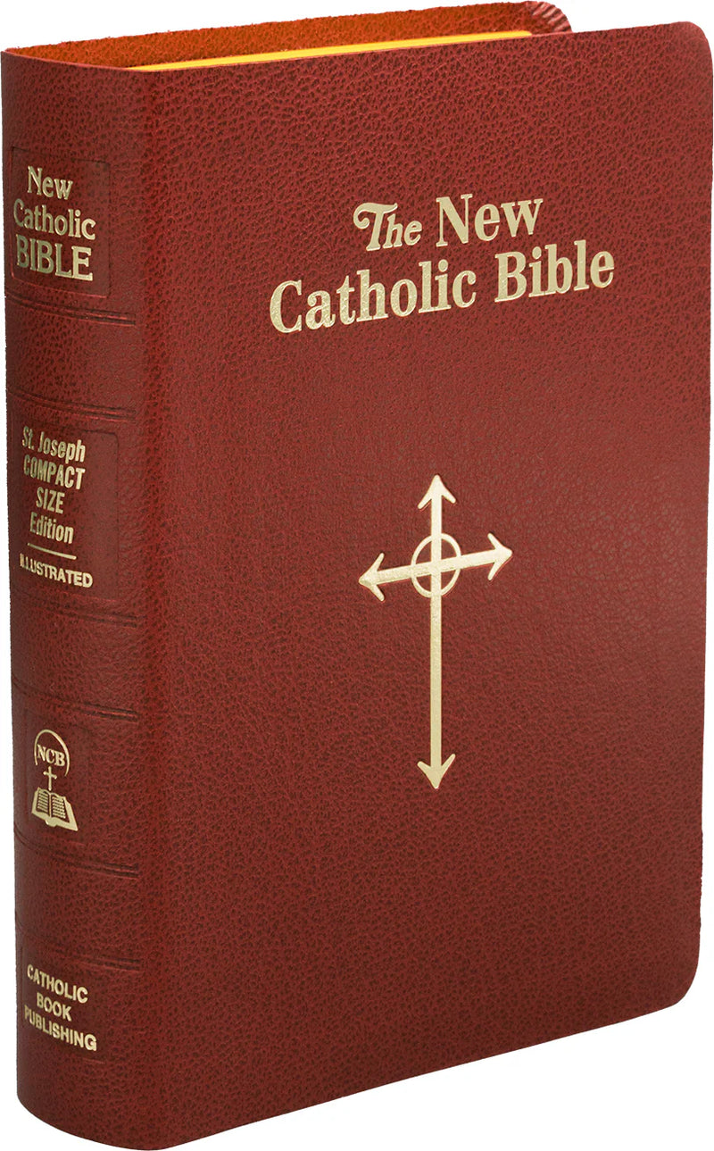 Red leather-bound Bible with gold text and cross design on a white background