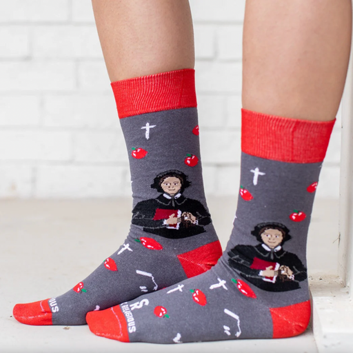 Person wearing red and gray sock featuring pictures of apples and St. Elizabeth Ann Seton