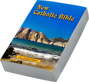 New Catholic Bible with beach and mountain cover design