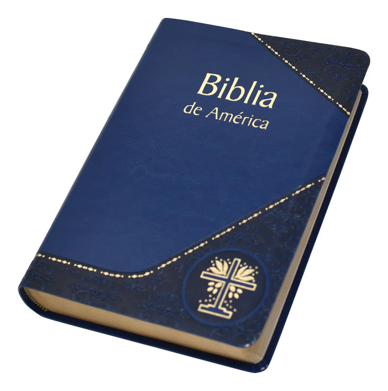 Blue Bible with 'Biblia de America' text on a white background
