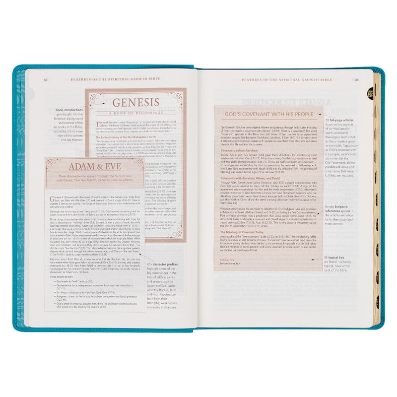 Teal book titled 'The Spiritual Growth Bible' on a white background