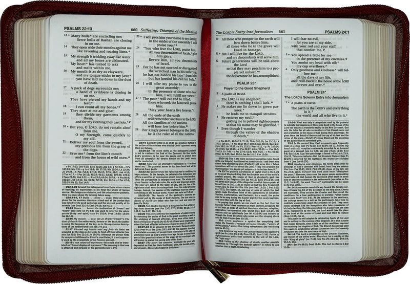 Open Bible with red leather cover on a white background