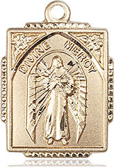 Divine Mercy Necklace Gold Filled 18"