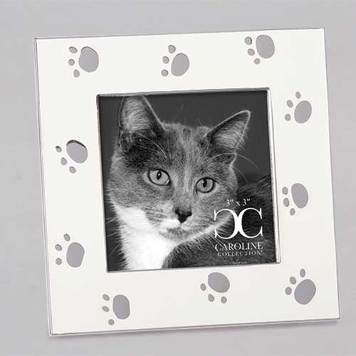 Cat Paw Print Frame 4.5"H