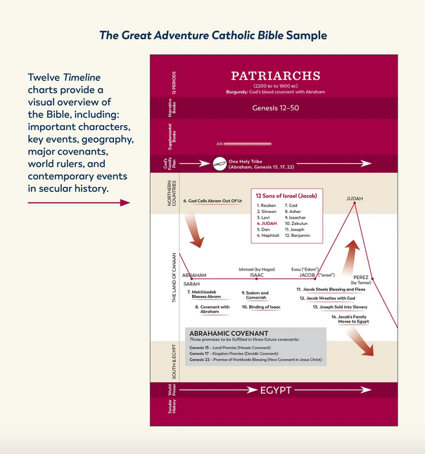 The Great Adventure Catholic Bible, Paperback Edition