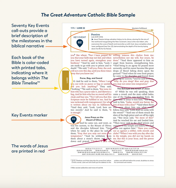 The Great Adventure Catholic Bible [Book]