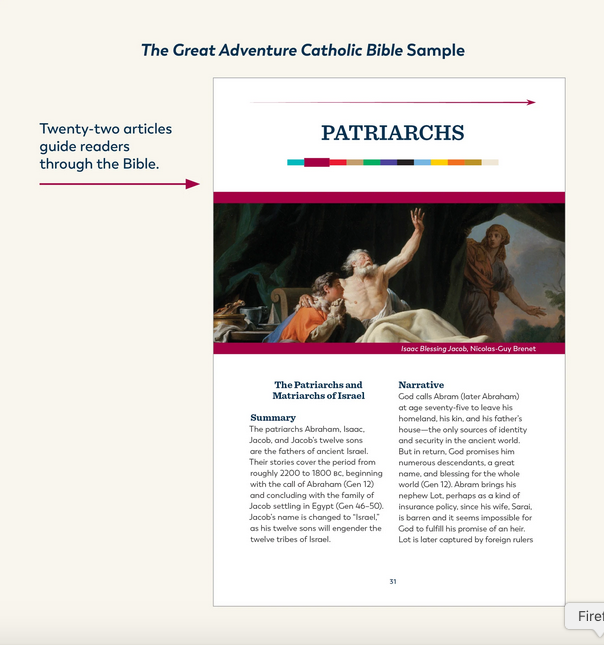 The Great Adventure Catholic Bible, Faux Leather