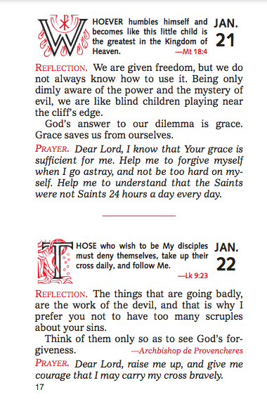 Joyfully Living The Gospel Day By Day