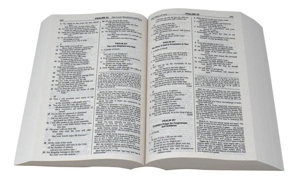 Bible - NABRE Student Edition Bible